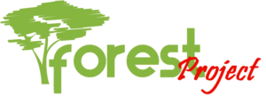 forestProject logo 800x287 piros RGB